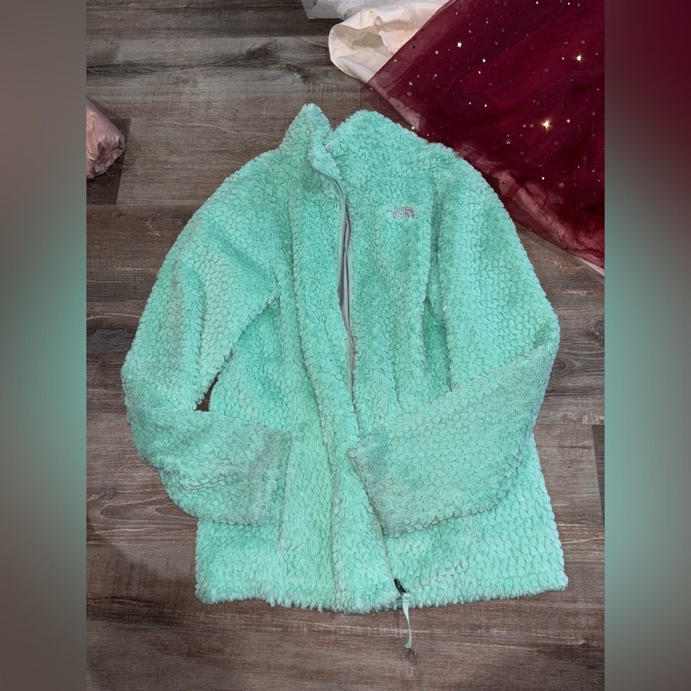 The North Face Mint Green Sherpa Fleece Jacket
